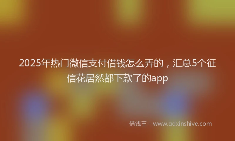2025年热门微信支付借钱怎么弄的，汇总5个征信花居然都下款了的app