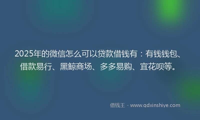 2025年的微信怎么可以贷款借钱有：有钱钱包、借款易行、黑鲸商场、多多易购、宜花呗等。