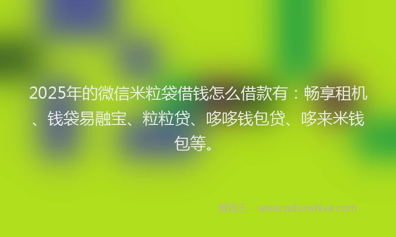 2025年的微信米粒袋借钱怎么借款有：畅享租机、钱袋易融宝、粒粒贷、哆哆钱包贷、哆来米钱包等。