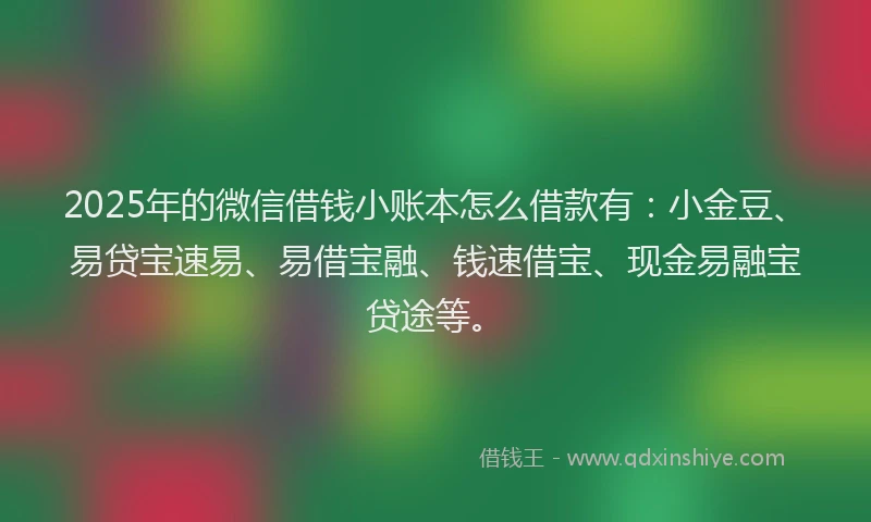 2025年的微信借钱小账本怎么借款有：小金豆、易贷宝速易、易借宝融、钱速借宝、现金易融宝贷途等。