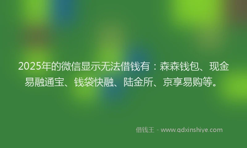 2025年的微信显示无法借钱有：森森钱包、现金易融通宝、钱袋快融、陆金所、京享易购等。