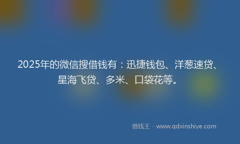 2025年的微信搜借钱有：迅捷钱包、洋葱速贷、星海飞贷、多米、口袋花等。