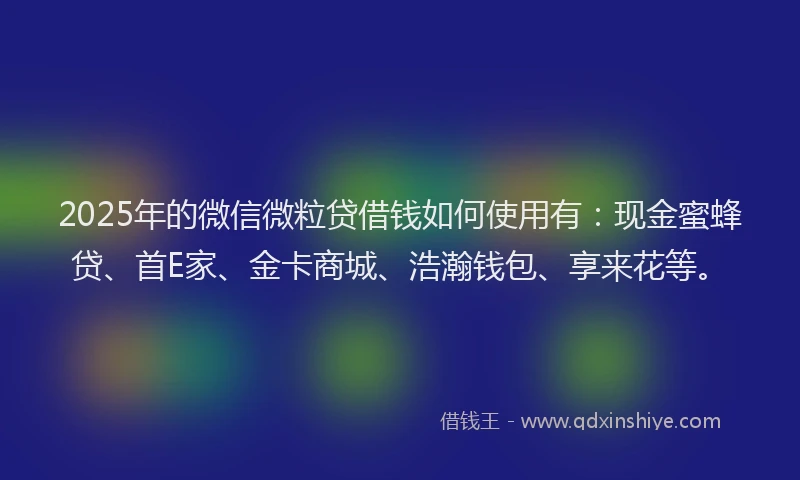 2025年的微信微粒贷借钱如何使用有：现金蜜蜂贷、首E家、金卡商城、浩瀚钱包、享来花等。