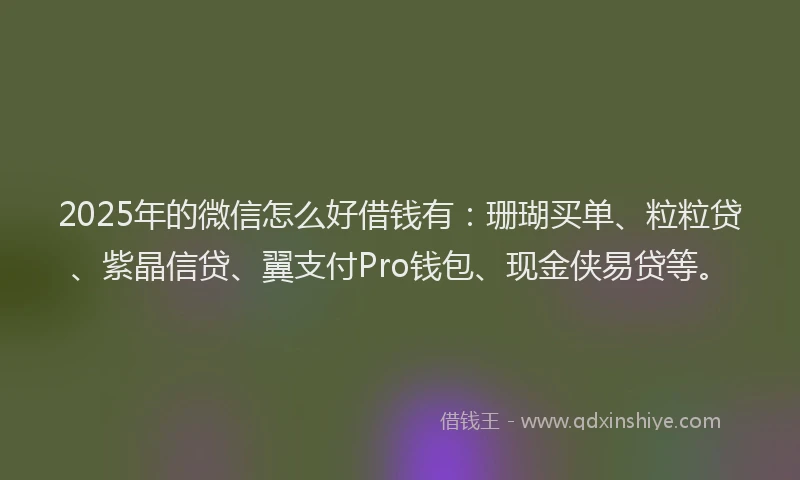 2025年的微信怎么好借钱有：珊瑚买单、粒粒贷、紫晶信贷、翼支付Pro钱包、现金侠易贷等。