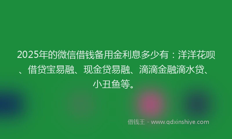 2025年的微信借钱备用金利息多少有：洋洋花呗、借贷宝易融、现金贷易融、滴滴金融滴水贷、小丑鱼等。