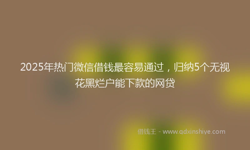2025年热门微信借钱最容易通过，归纳5个无视花黑烂户能下款的网贷