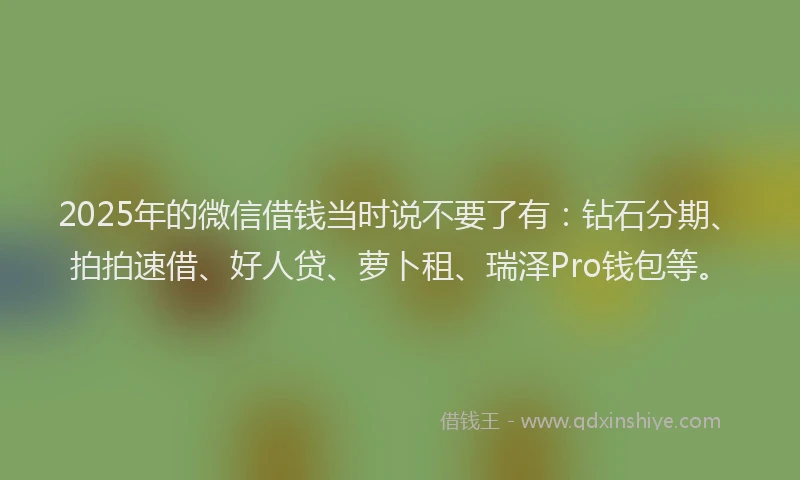 2025年的微信借钱当时说不要了有：钻石分期、拍拍速借、好人贷、萝卜租、瑞泽Pro钱包等。