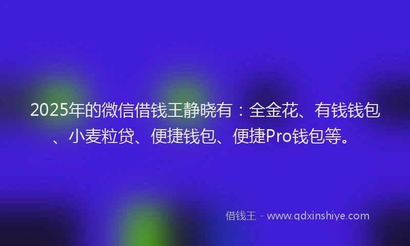 2025年的微信借钱王静晓有：全金花、有钱钱包、小麦粒贷、便捷钱包、便捷Pro钱包等。