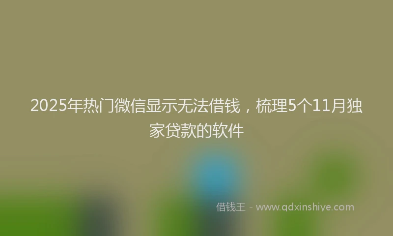 2025年热门微信显示无法借钱，梳理5个11月独家贷款的软件