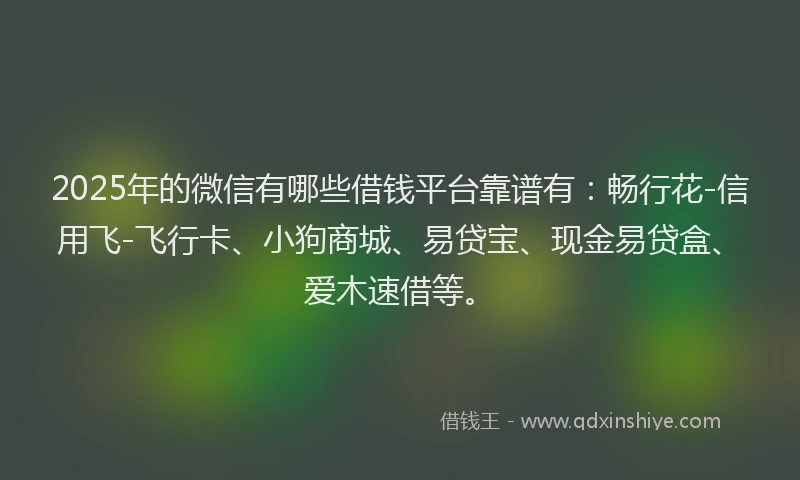2025年的微信有哪些借钱平台靠谱有：畅行花-信用飞-飞行卡、小狗商城、易贷宝、现金易贷盒、爱木速借等。