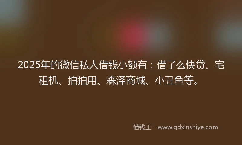 2025年的微信私人借钱小额有：借了么快贷、宅租机、拍拍用、森泽商城、小丑鱼等。