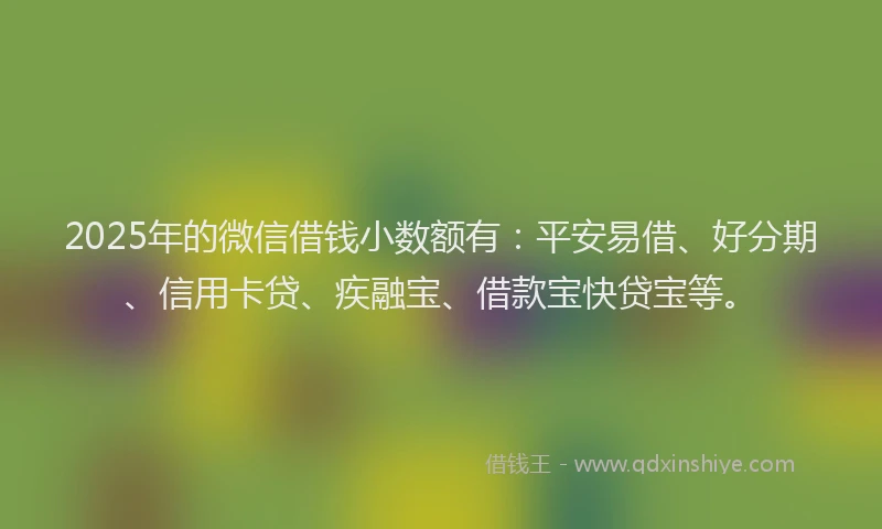 2025年的微信借钱小数额有：平安易借、好分期、信用卡贷、疾融宝、借款宝快贷宝等。
