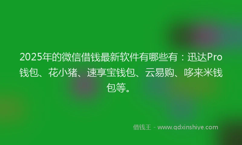 2025年的微信借钱最新软件有哪些有：迅达Pro钱包、花小猪、速享宝钱包、云易购、哆来米钱包等。