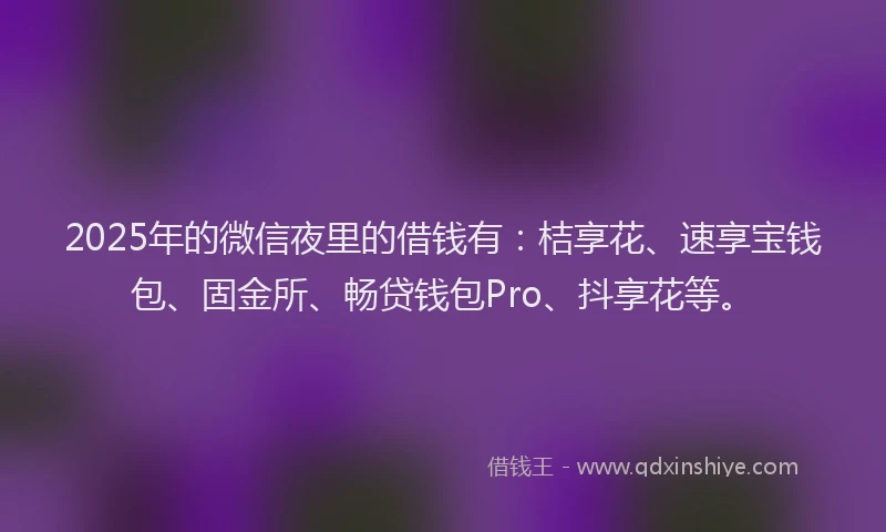 2025年的微信夜里的借钱有：桔享花、速享宝钱包、固金所、畅贷钱包Pro、抖享花等。
