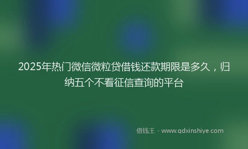 2025年热门微信微粒贷借钱还款期限是多久，归纳五个不看征信查询的平台
