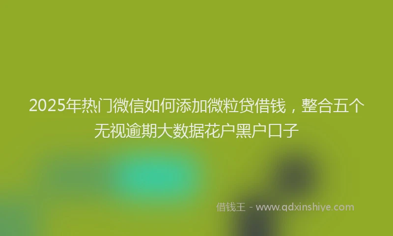 2025年热门微信如何添加微粒贷借钱，整合五个无视逾期大数据花户黑户口子