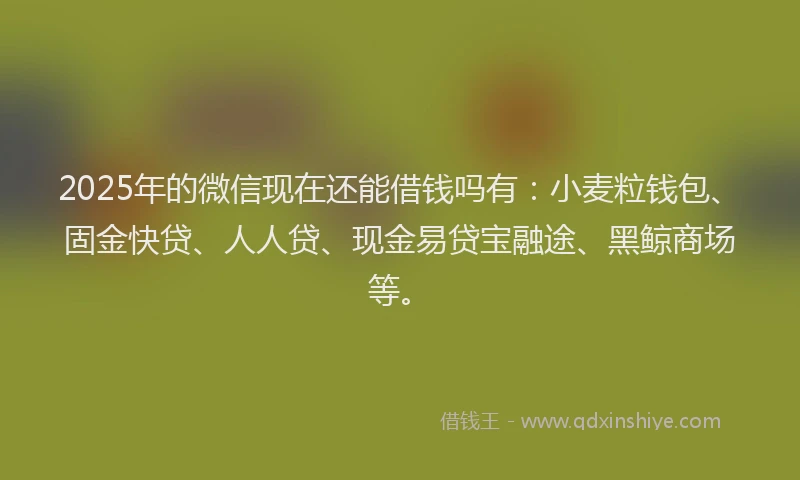 2025年的微信现在还能借钱吗有：小麦粒钱包、固金快贷、人人贷、现金易贷宝融途、黑鲸商场等。