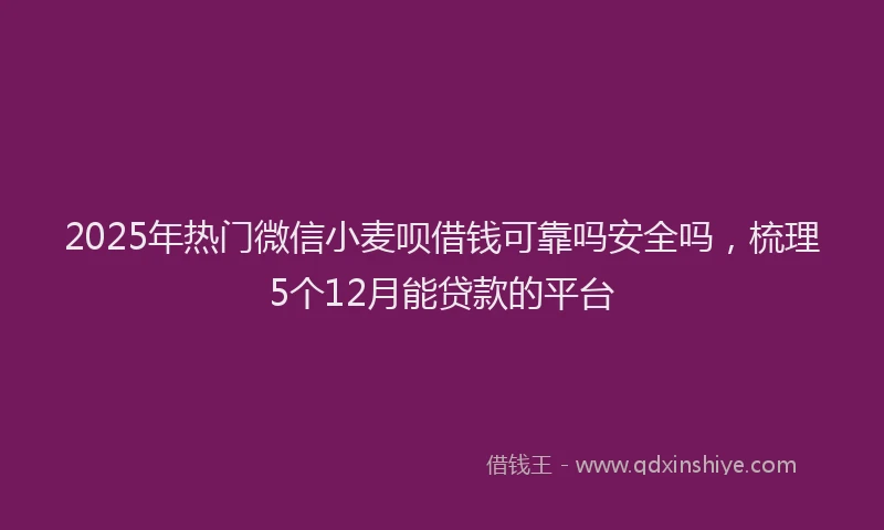 2025年热门微信小麦呗借钱可靠吗安全吗，梳理5个12月能贷款的平台