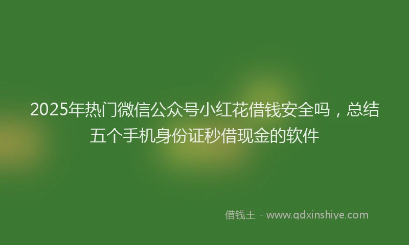 2025年热门微信公众号小红花借钱安全吗，总结五个手机身份证秒借现金的软件