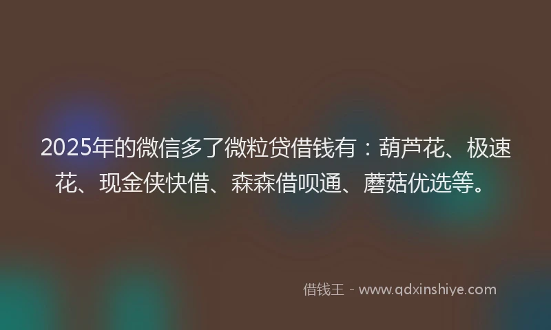 2025年的微信多了微粒贷借钱有：葫芦花、极速花、现金侠快借、森森借呗通、蘑菇优选等。