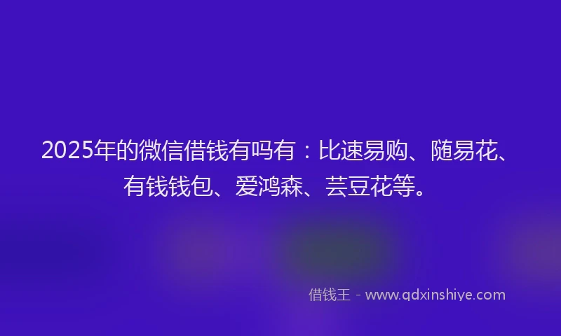 2025年的微信借钱有吗有：比速易购、随易花、有钱钱包、爱鸿森、芸豆花等。