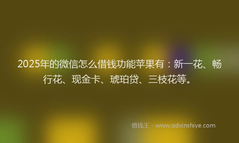 2025年的微信怎么借钱功能苹果有：新一花、畅行花、现金卡、琥珀贷、三枝花等。