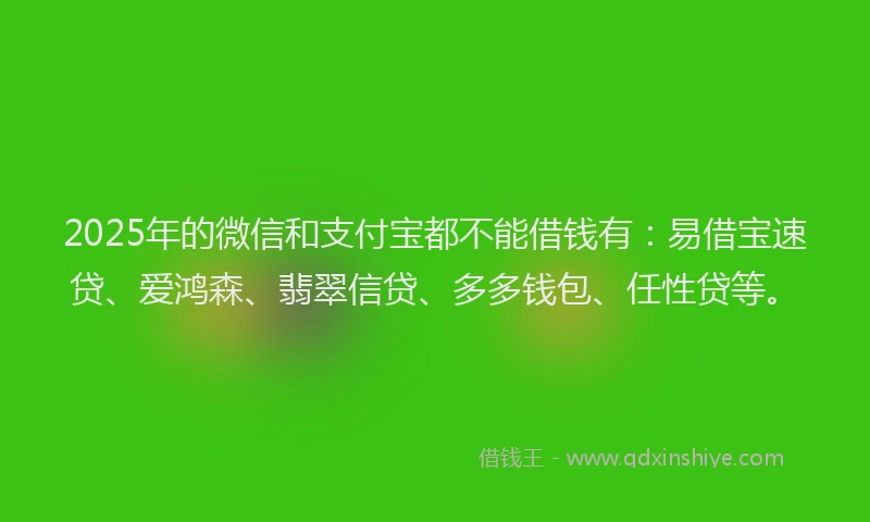 2025年的微信和支付宝都不能借钱有：易借宝速贷、爱鸿森、翡翠信贷、多多钱包、任性贷等。