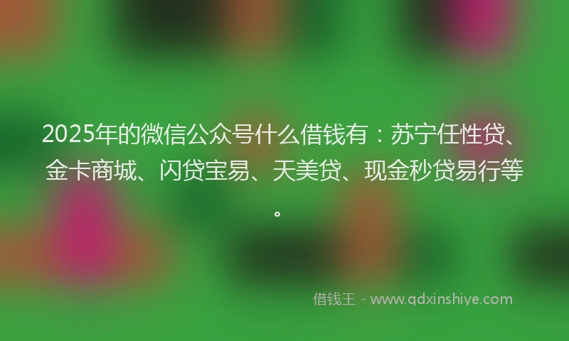 2025年的微信公众号什么借钱有：苏宁任性贷、金卡商城、闪贷宝易、天美贷、现金秒贷易行等。
