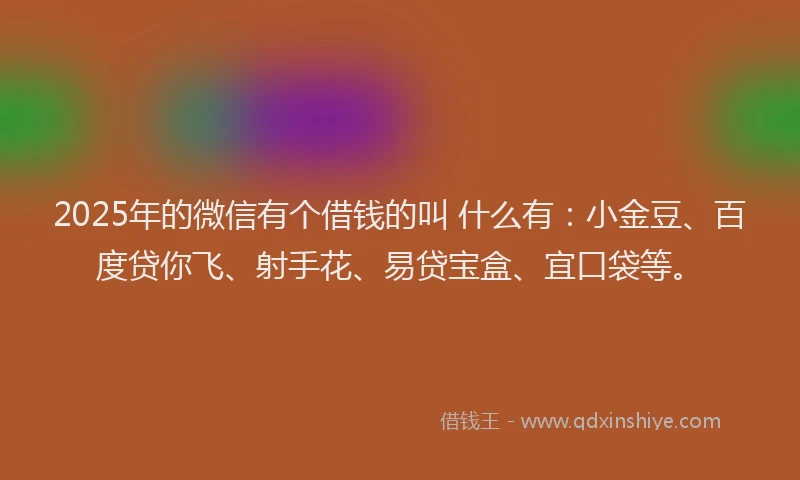 2025年的微信有个借钱的叫 什么有：小金豆、百度贷你飞、射手花、易贷宝盒、宜口袋等。