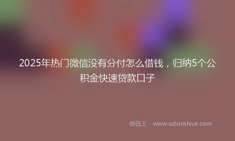 2025年热门微信没有分付怎么借钱，归纳5个公积金快速贷款口子