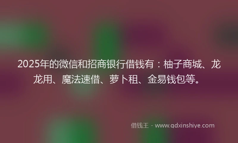 2025年的微信和招商银行借钱有：柚子商城、龙龙用、魔法速借、萝卜租、金易钱包等。