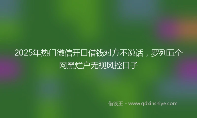 2025年热门微信开口借钱对方不说话，罗列五个网黑烂户无视风控口子