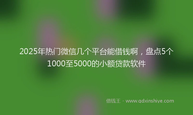 2025年热门微信几个平台能借钱啊，盘点5个1000至5000的小额贷款软件