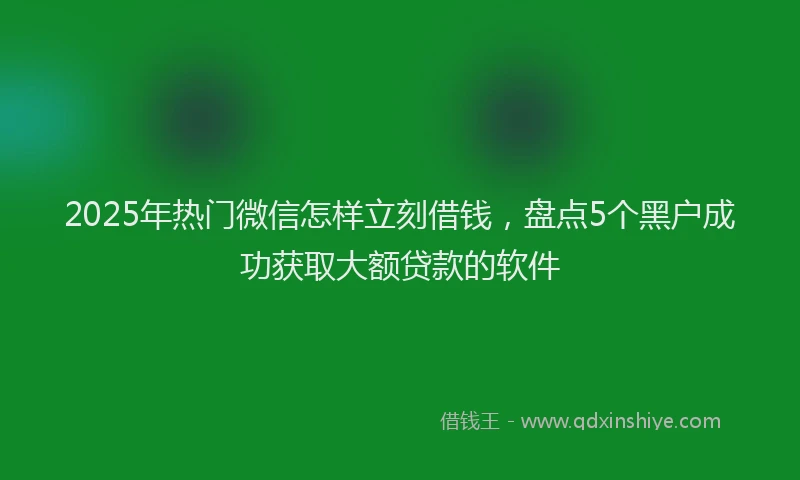 2025年热门微信怎样立刻借钱，盘点5个黑户成功获取大额贷款的软件