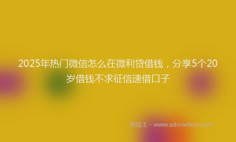 2025年热门微信怎么在微利贷借钱，分享5个20岁借钱不求征信速借口子