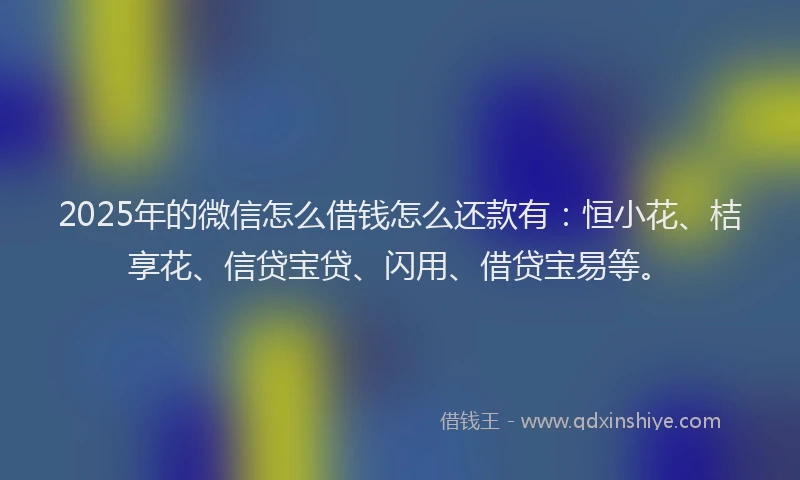2025年的微信怎么借钱怎么还款有：恒小花、桔享花、信贷宝贷、闪用、借贷宝易等。