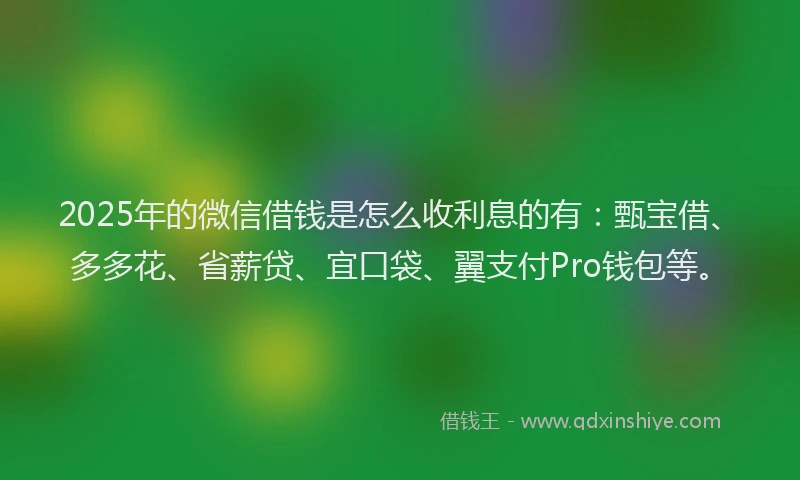 2025年的微信借钱是怎么收利息的有：甄宝借、多多花、省薪贷、宜口袋、翼支付Pro钱包等。