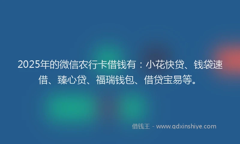 2025年的微信农行卡借钱有：小花快贷、钱袋速借、臻心贷、福瑞钱包、借贷宝易等。