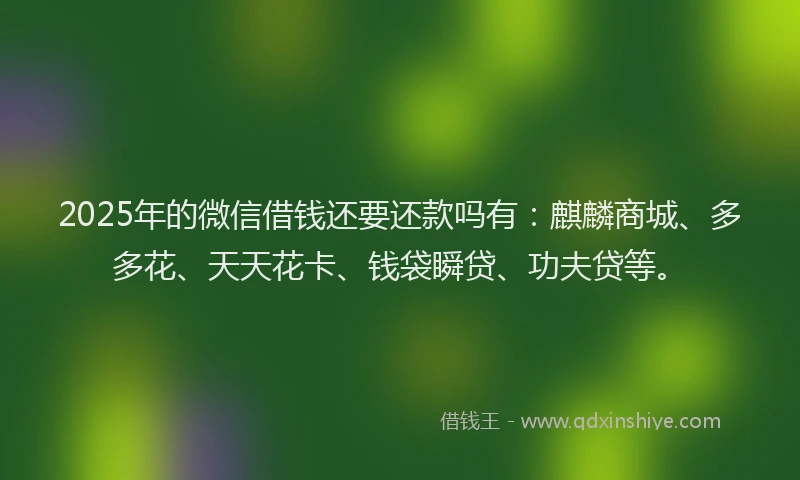 2025年的微信借钱还要还款吗有：麒麟商城、多多花、天天花卡、钱袋瞬贷、功夫贷等。