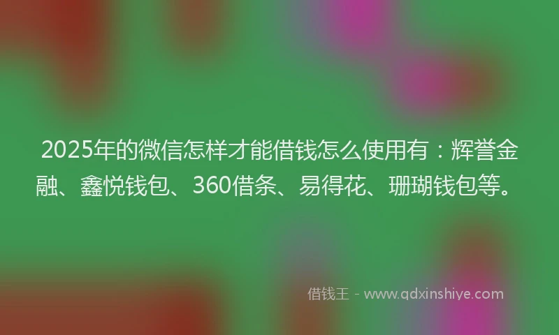 2025年的微信怎样才能借钱怎么使用有：辉誉金融、鑫悦钱包、360借条、易得花、珊瑚钱包等。