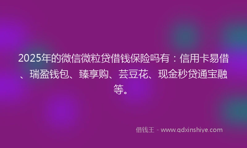 2025年的微信微粒贷借钱保险吗有：信用卡易借、瑞盈钱包、臻享购、芸豆花、现金秒贷通宝融等。