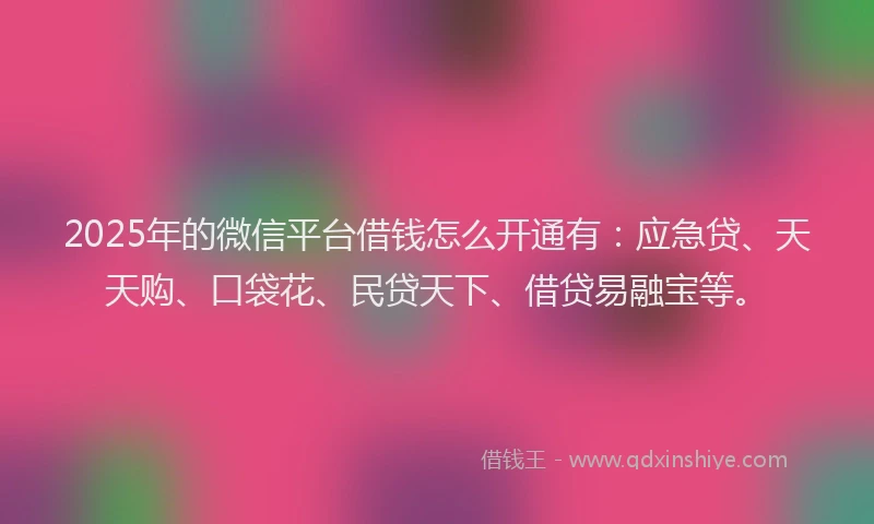 2025年的微信平台借钱怎么开通有：应急贷、天天购、口袋花、民贷天下、借贷易融宝等。