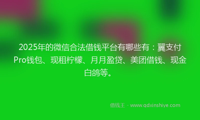 2025年的微信合法借钱平台有哪些有：翼支付Pro钱包、现租柠檬、月月盈贷、美团借钱、现金白鸽等。