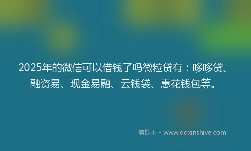 2025年的微信可以借钱了吗微粒贷有：哆哆贷、融资易、现金易融、云钱袋、惠花钱包等。