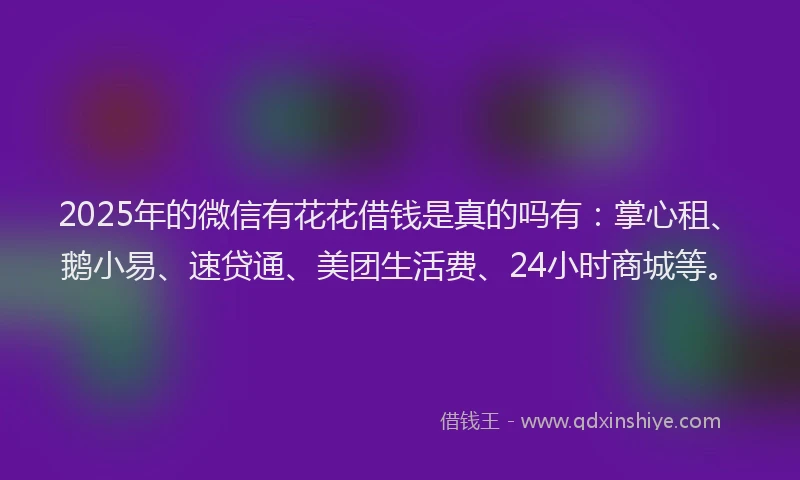 2025年的微信有花花借钱是真的吗有：掌心租、鹅小易、速贷通、美团生活费、24小时商城等。
