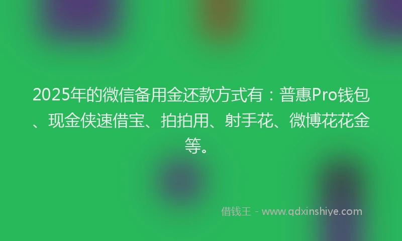 2025年的微信备用金还款方式有：普惠Pro钱包、现金侠速借宝、拍拍用、射手花、微博花花金等。