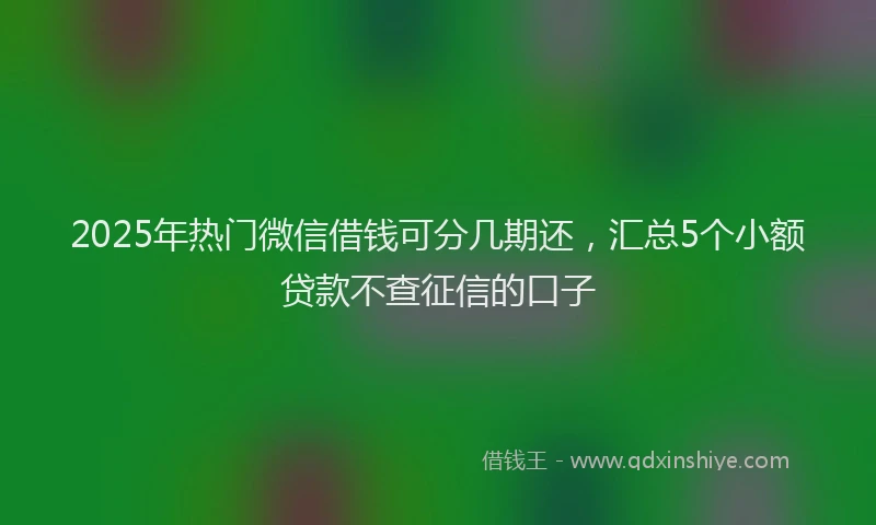 2025年热门微信借钱可分几期还，汇总5个小额贷款不查征信的口子