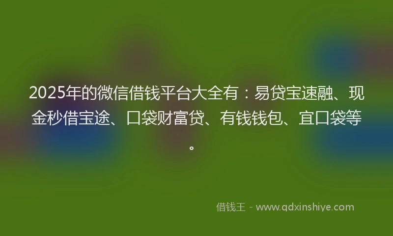 2025年的微信借钱平台大全有：易贷宝速融、现金秒借宝途、口袋财富贷、有钱钱包、宜口袋等。