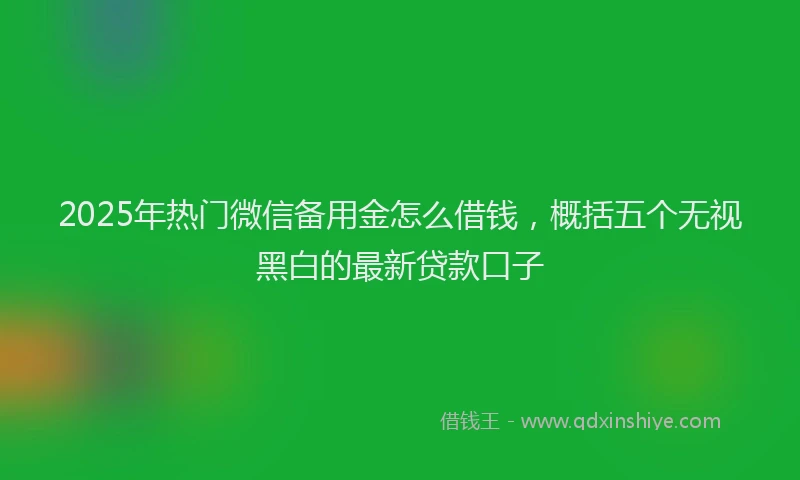 2025年热门微信备用金怎么借钱，概括五个无视黑白的最新贷款口子