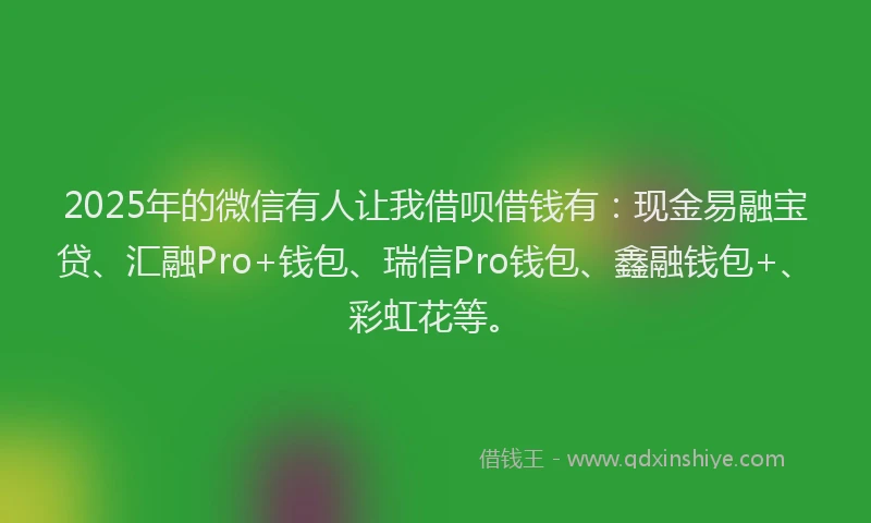 2025年的微信有人让我借呗借钱有：现金易融宝贷、汇融Pro+钱包、瑞信Pro钱包、鑫融钱包+、彩虹花等。